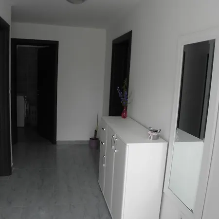 Apartment Jartic Betina  Kamer foto